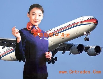 國際物流到門派送廣東省空運到日本稻城市航空直線快遞